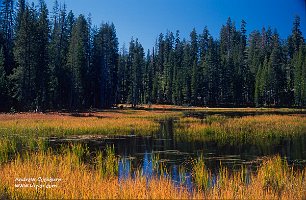 Yosemite_high_pond