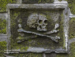 Grays_Yard_Skull_web