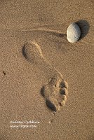 090807_Cape-Cod_Coast-Guard-Beach--footprint